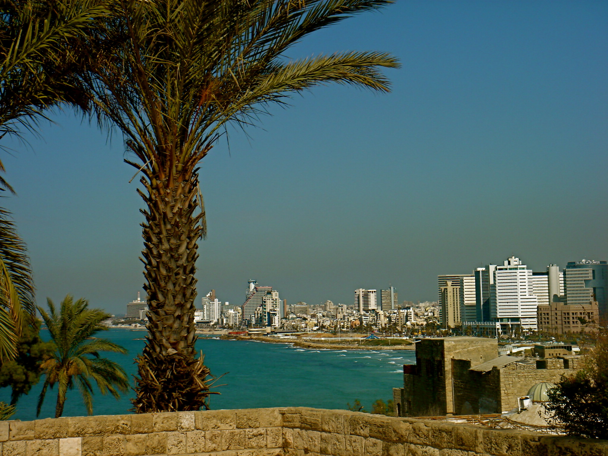 The Tel Aviv Real Estate Market: From a Broker's Point of View | Israel Housing Market Update